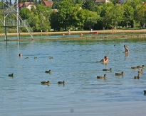 DSC03214