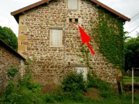 DSC01644.jpg