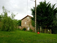 DSC01645.jpg