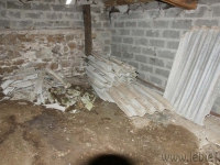 dsc05681.jpg
