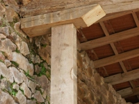 dsc05706.jpg