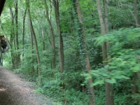 dsc05778.jpg