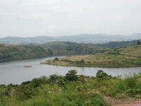 dsc05782.jpg