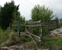 DSC00004