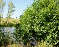 DSC03405