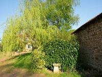 DSC01433.jpg