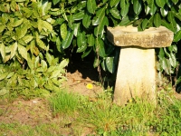 DSC01434.jpg