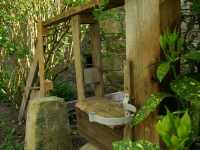 DSC01435.jpg