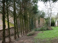 dsc02073.jpg