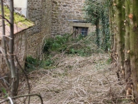 dsc02074.jpg