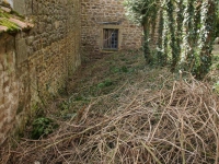dsc02081.jpg