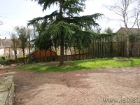 dsc02101.jpg