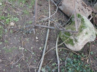 dsc02132.jpg