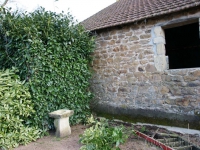 dsc02128.jpg