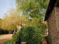 dsc03956.jpg