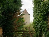 dsc05101.jpg