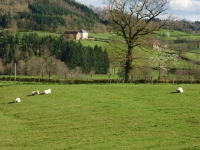 dsc03210.jpg