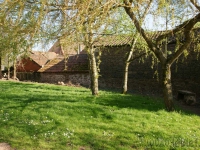 dsc03542.jpg