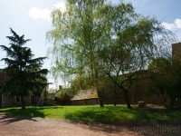 dsc03747.jpg
