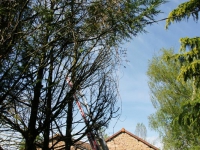dsc03751.jpg