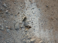 dsc03971.jpg