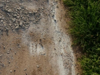 dsc03973.jpg