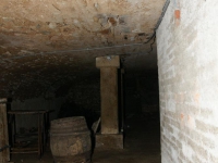 dsc01667.jpg