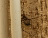 dsc01671.jpg