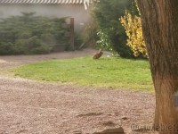 dsc02234.jpg