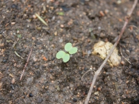 dsc02734.jpg