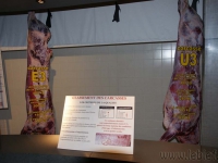 dsc05325.jpg