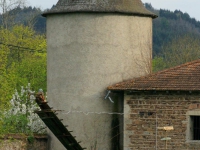 DSC01192.jpg