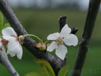 DSC01214.jpg