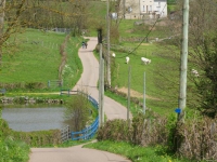 DSC01095.jpg