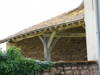 DSC01123.jpg