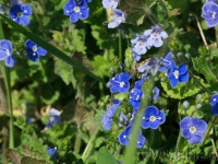 DSC01133.jpg