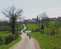 DSC01984