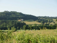 dsc04977.jpg