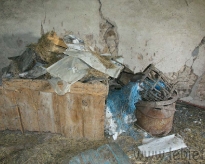 DSC01426.jpg