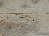 dsc03284.jpg