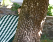DSC02276
