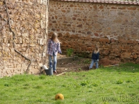 dsc02163.jpg