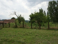 dsc06221.jpg