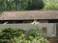 dsc05846.jpg
