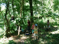 dsc00373.jpg