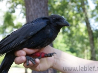 dsc00417.jpg