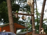 dsc00306.jpg