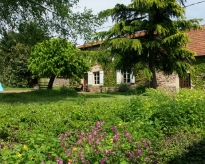 DSC01551