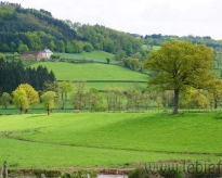 DSC01561