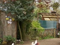 dsc03234.jpg